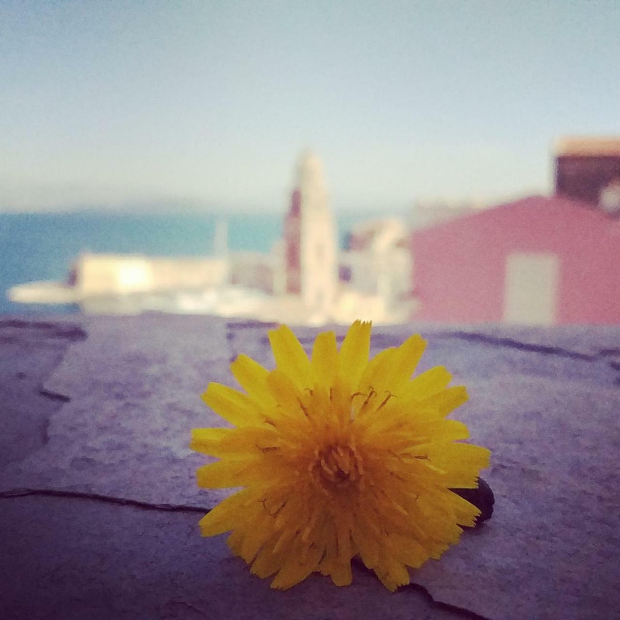 לינה וארוחת בוקר גאטה Il Vecchio E Il Mare מראה חיצוני תמונה